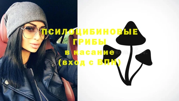 ешки Алексин