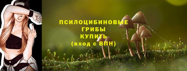 ешки Алексин