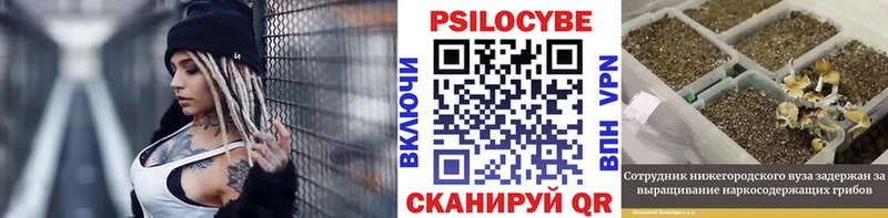 МЕГА онион  Киров  Галлюциногенные грибы Psilocybine cubensis 