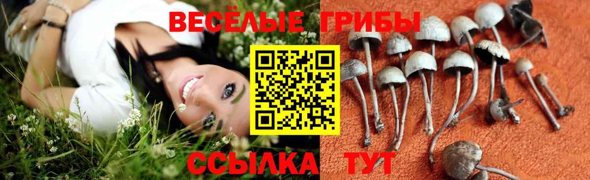 Псилоцибиновые грибы MAGIC MUSHROOMS Киров